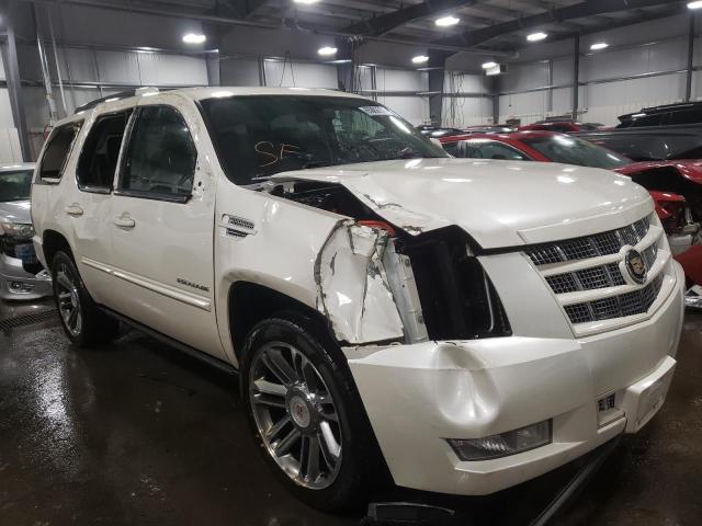 CADILLAC ESCALADE P 2013 1gys4cefxdr130018