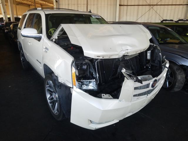 CADILLAC ESCALADE P 2013 1gys4cefxdr141391