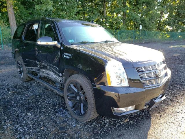 CADILLAC ESCALADE P 2013 1gys4cefxdr148194