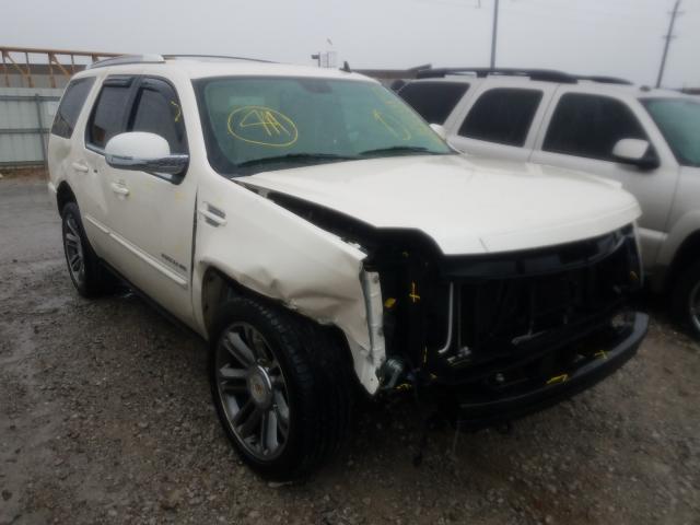 CADILLAC ESCALADE P 2014 1gys4cefxer149251