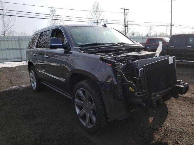 CADILLAC ESCALADE P 2016 1gys4ckj0gr269250