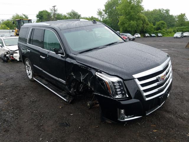 CADILLAC ESCALADE P 2018 1gys4ckj0jr382445