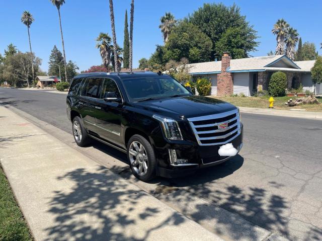 CADILLAC ESCALADE P 2020 1gys4ckj0lr128611