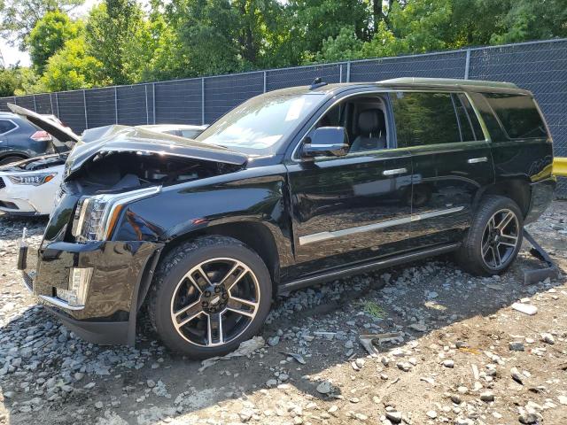 CADILLAC ESCALADE 2020 1gys4ckj0lr190316