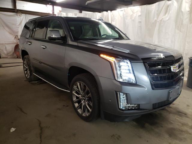 CADILLAC ESCALADE P 2019 1gys4ckj1kr344207