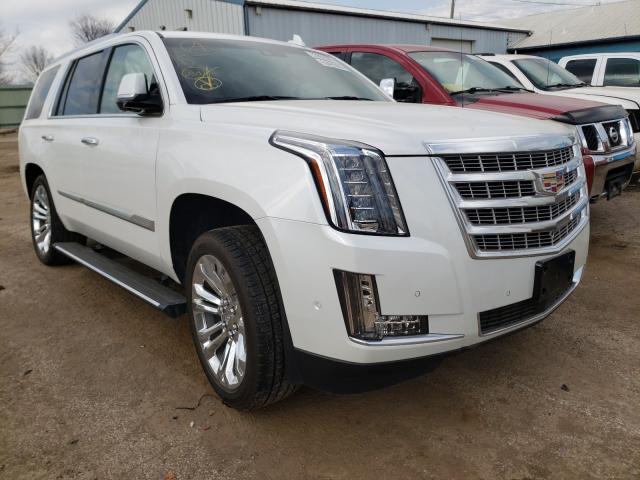 CADILLAC ESCALADE P 2019 1gys4ckj1kr384089