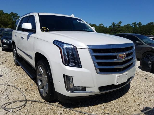 CADILLAC ESCALADE P 2019 1gys4ckj3kr215241