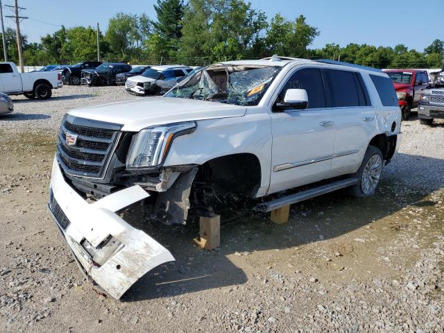 CADILLAC ESCALADE P 2017 1gys4ckj4hr144463