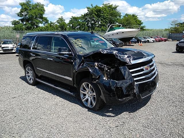 CADILLAC ESCALADE P 2018 1gys4ckj4jr132237