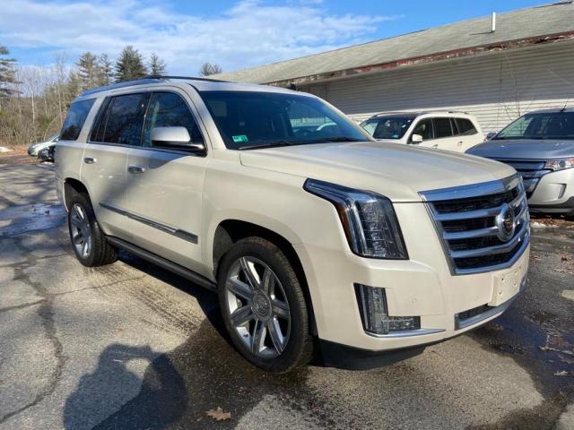 CADILLAC ESCALADE P 2015 1gys4ckj5fr301446