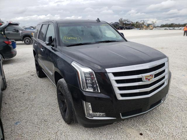 CADILLAC ESCALADE P 2019 1gys4ckj5kr155365