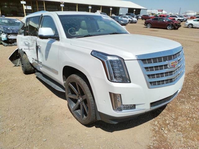 CADILLAC ESCALADE P 2019 1gys4ckj5kr369868