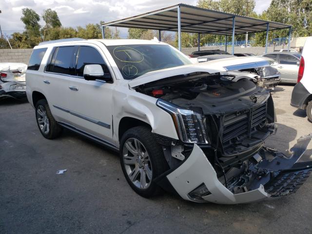 CADILLAC ESCALADE P 2020 1gys4ckj5lr231491