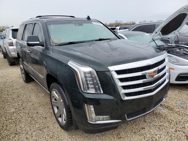 CADILLAC ESCALADE P 2016 1gys4ckj6gr409219