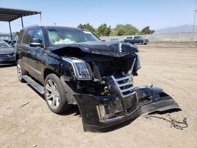 CADILLAC ESCALADE P 2019 1gys4ckj6kr109737