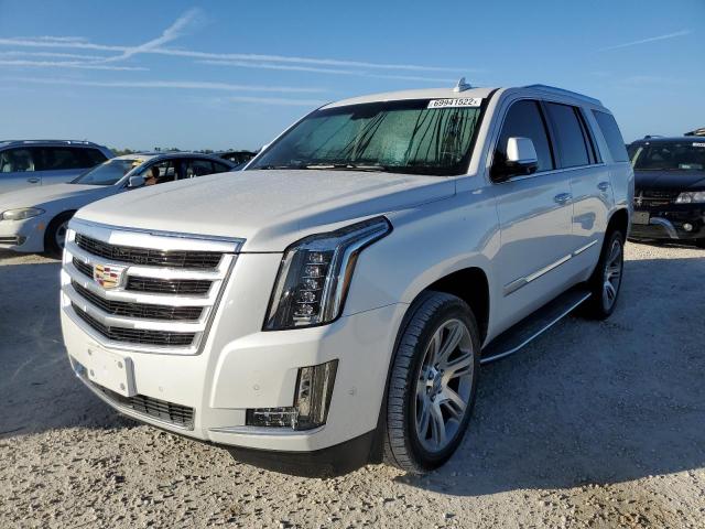 CADILLAC ESCALADE P 2019 1gys4ckj6kr195938