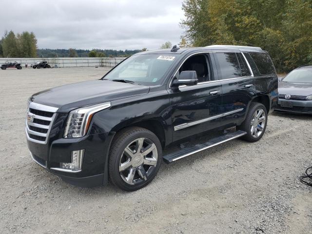 CADILLAC ESCALADE P 2017 1gys4ckj8hr195058