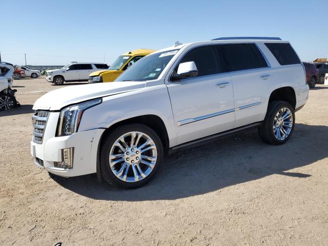 CADILLAC ESCALADE P 2019 1gys4ckj8kr353700