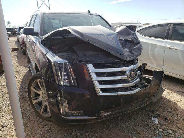 CADILLAC ESCALADE P 2015 1gys4ckj9fr225696