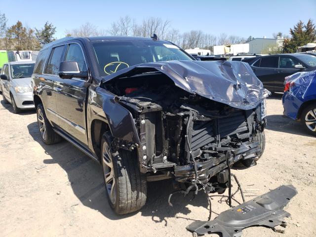 CADILLAC ESCALADE P 2016 1gys4ckj9gr249921