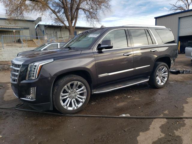 CADILLAC ESCALADE P 2018 1gys4ckjxjr153478