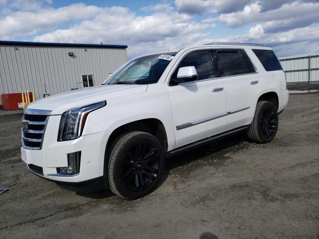 CADILLAC ESCALADE P 2019 1gys4ckjxkr372233