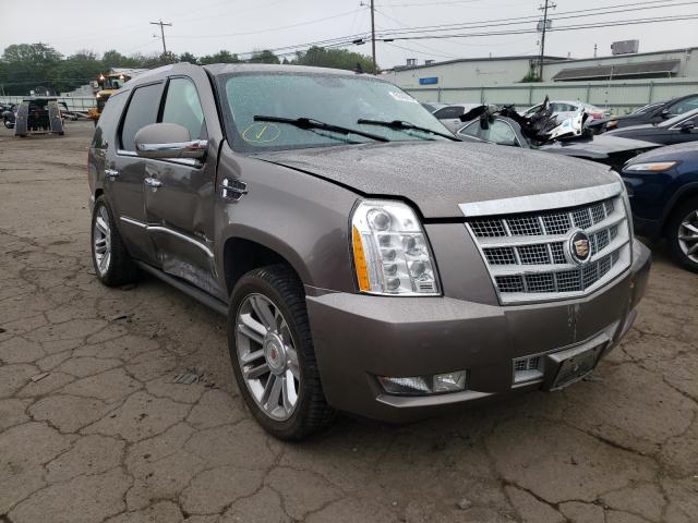 CADILLAC ESCALADE P 2014 1gys4def0er119312