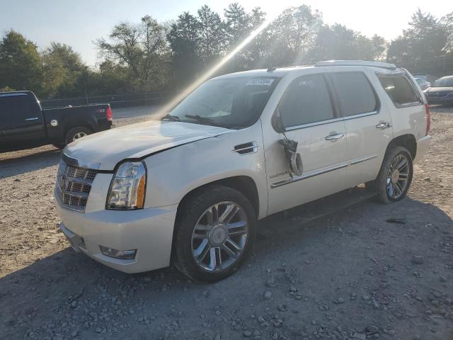 CADILLAC ESCALADE P 2011 1gys4def1br343281