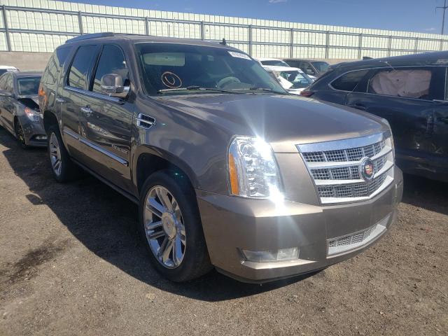 CADILLAC ESCALADE P 2013 1gys4def1dr161597