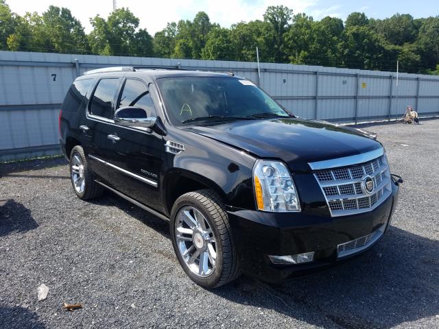 CADILLAC ESCALADE P 2014 1gys4def1er144106