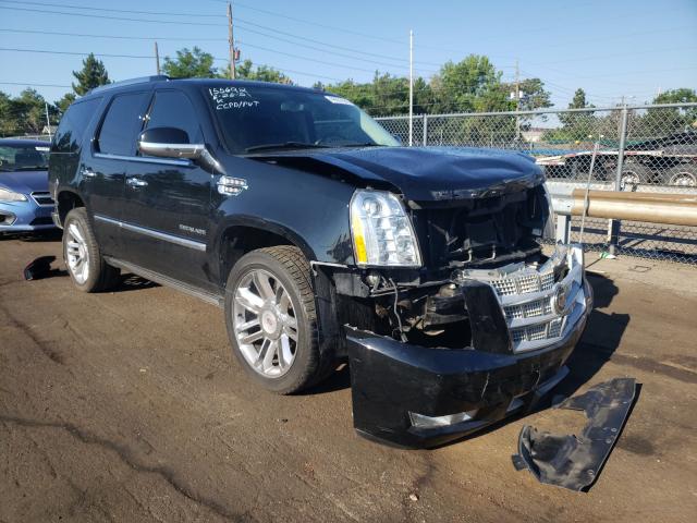 CADILLAC ESCALADE P 2011 1gys4def2br355262