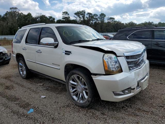 CADILLAC ESCALADE P 2011 1gys4def3br120370