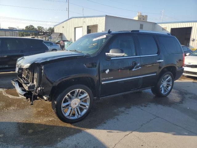 CADILLAC ESCALADE P 2013 1gys4def3dr125023