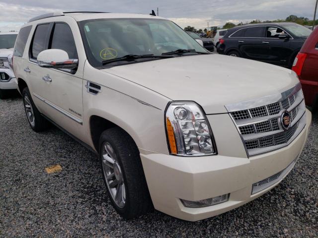 CADILLAC ESCALADE P 2013 1gys4def3dr141867