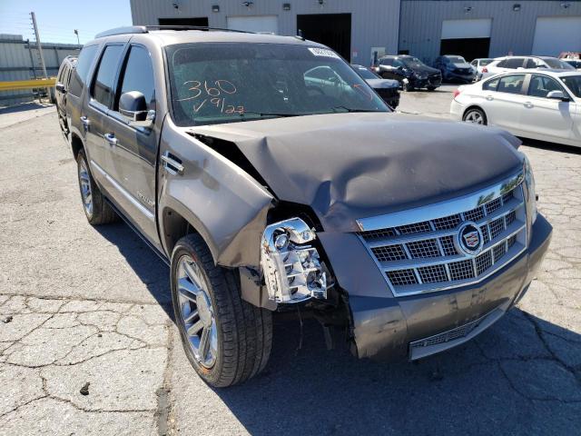 CADILLAC ESCALADE P 2014 1gys4def3er181366