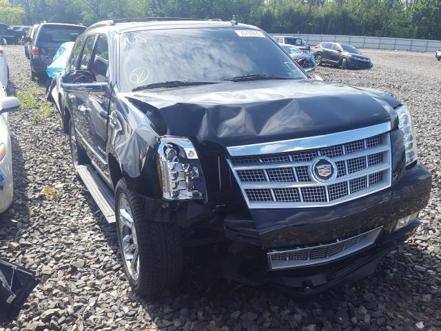 CADILLAC ESCALADE P 2013 1gys4def4dr169581