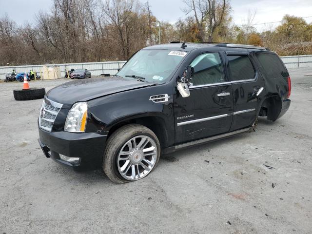 CADILLAC ESCALADE P 2014 1gys4def4er164706