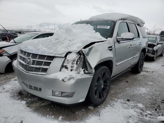 CADILLAC ESCALADE P 2011 1gys4def5br156142