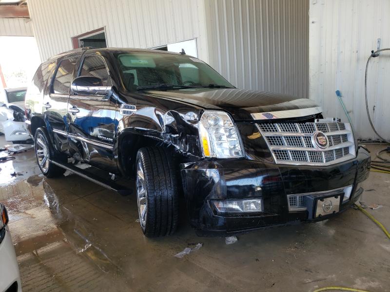 CADILLAC ESCALADE P 2013 1gys4def5dr234342