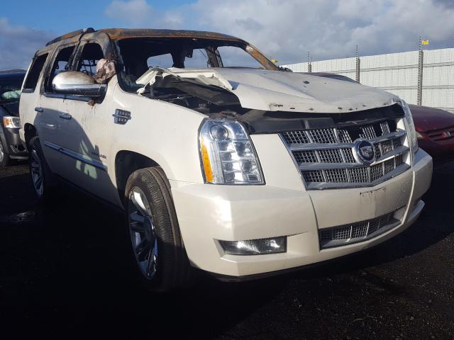 CADILLAC ESCALADE P 2011 1gys4def6br152133