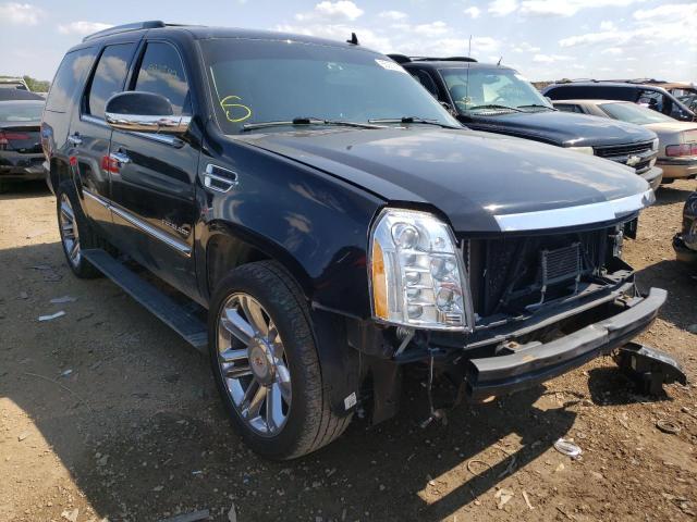 CADILLAC ESCALADE P 2013 1gys4def6dr162955