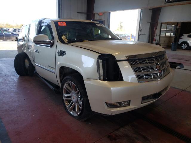 CADILLAC ESCALADE P 2013 1gys4def7dr171261