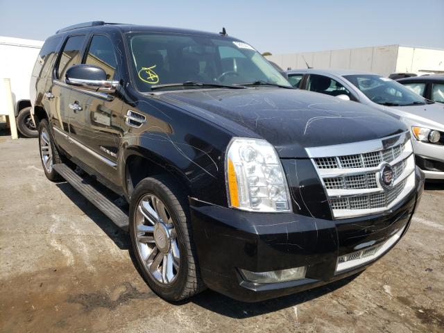 CADILLAC ESCALADE P 2011 1gys4def8br143269