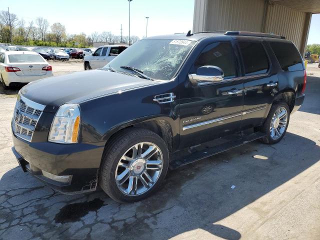 CADILLAC ESCALADE 2011 1gys4def8br145474