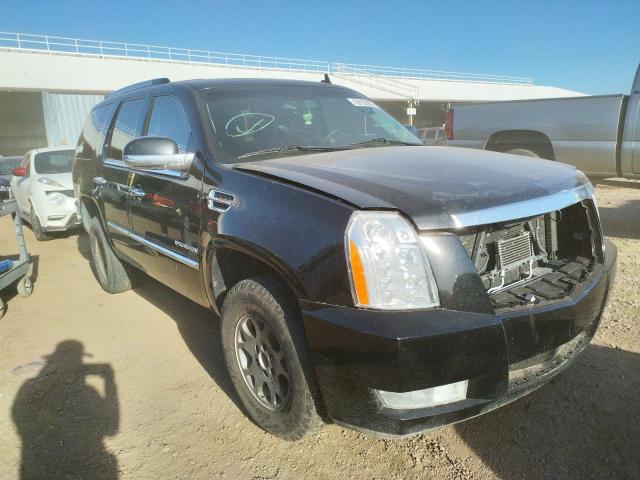 CADILLAC ESCALADE P 2012 1gys4def8cr207411