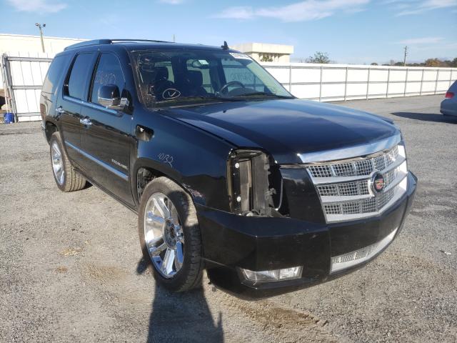 CADILLAC ESCALADE P 2013 1gys4def8dr222492