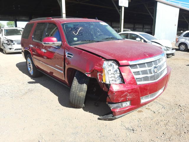 CADILLAC ESCALADE P 2014 1gys4def8er235132