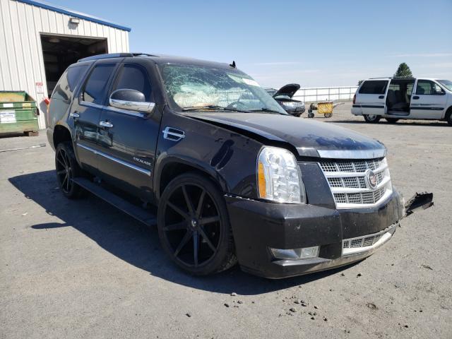 CADILLAC ESCALADE P 2011 1gys4def9br160968