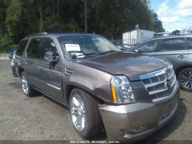 CADILLAC ESCALADE 2011 1gys4def9br179116