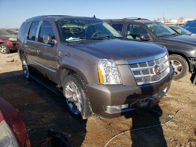 CADILLAC ESCALADE P 2011 1gys4def9br186034